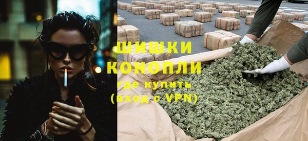 шишки Алексин